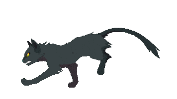 Cat Sticker