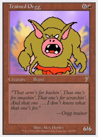 Card Game GIF by dan.bahia.dan