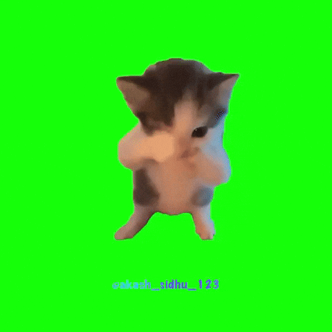 Scuba Dancing GIF