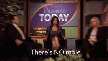 Parks And Recreation Mole GIF by PeacockTV