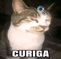 Hmm GIF
