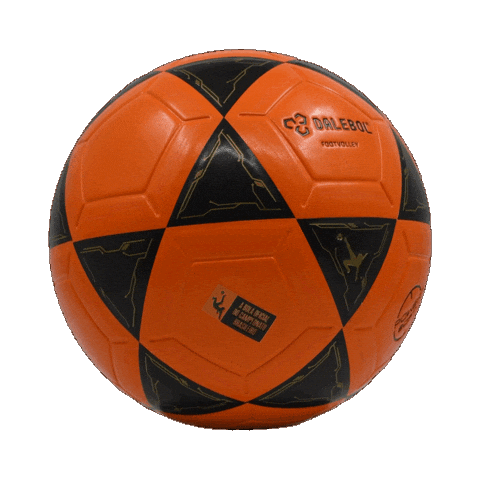 Bola Futevolei Sticker by Dalebol