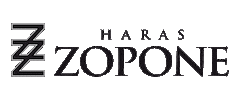 Quarterhorse Racehorse Sticker by Haras Zopone