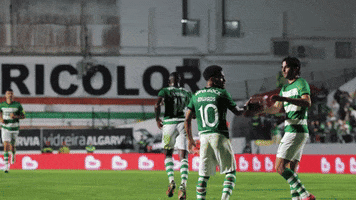 Marcus Edwards GIF by Sporting CP