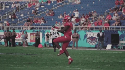College Sports Football GIF by FAU Athletics