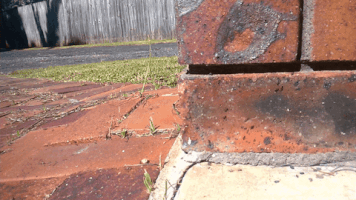 Looks Like Rain GIF