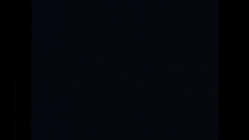 The Black Album High As A Kite GIF by Weezer