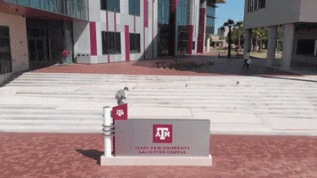 college campus GIF by Texas A&M University