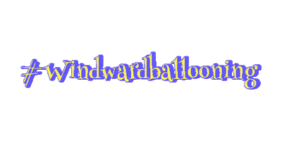 Windward Balloon Adventures GIF