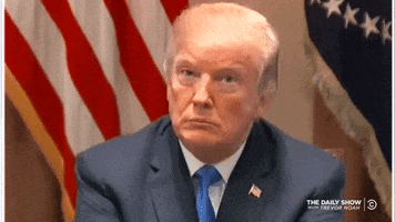 Political gif. Donald Trump nods his head slightly before opening his mouth and letting it hang there in disbelief.
