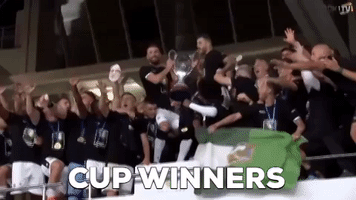 paokfamily cupwinners GIF by PAOK FC