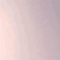 200w.gif