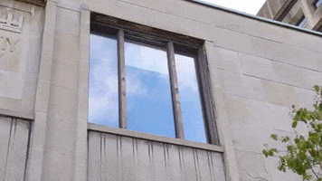 Architecture Montreal GIF by McGill University Library