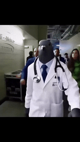 Dr Bird GIF