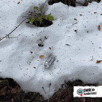 Snow Winter GIF by SWR Kindernetz