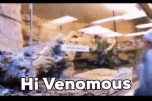 Mouse Venom GIF