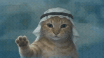 Cat Superman GIF