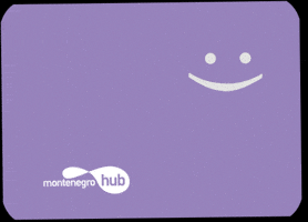 Montenegro Hub GIF
