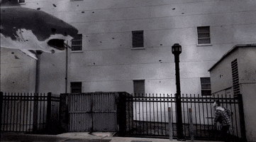 vidserv  GIF