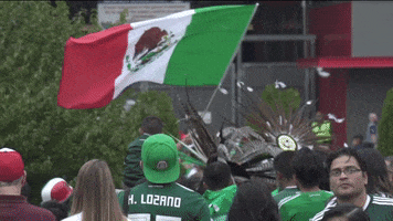 futbol mexicano bandera GIF by MiSelecciónMX
