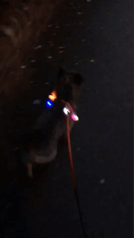 Hisbadgeriness GIF by Staniford Associates Ltd