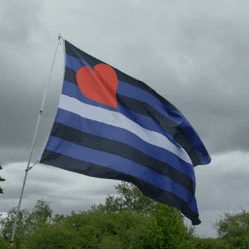 Pride Lgbt GIF by AceArchive
