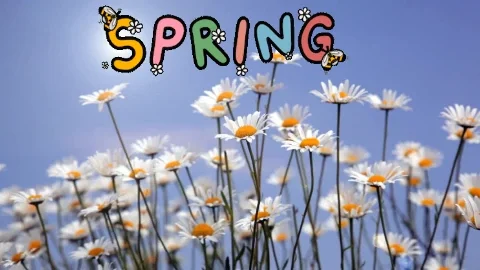 Spring Springtime GIF