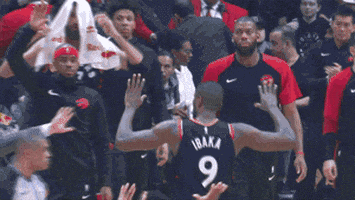 Raptors Bench GIFs - Get the best GIF on GIPHY