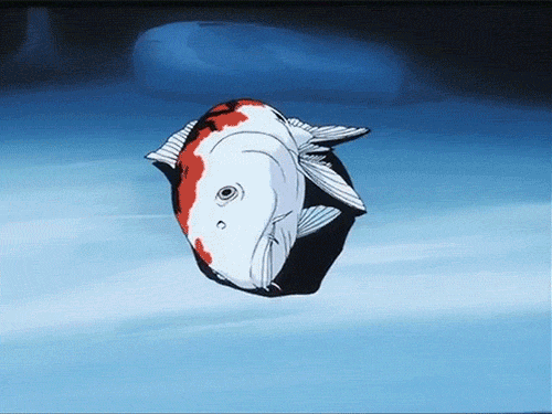Koi Fish GIF - Find & Share on GIPHY