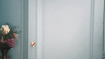 Comedy Central GIF by Another Period