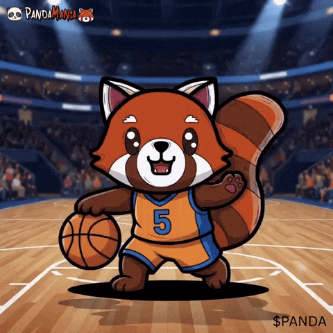 New York Basketball GIF by PandaMania