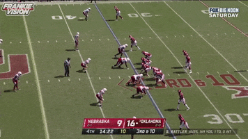 Rattlerpluspocket GIF