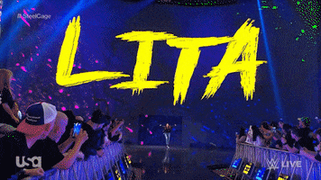 Wwe Wrestling GIF by USA Network