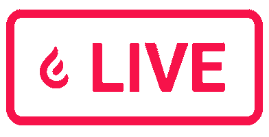 Grande Rio Sticker by Catch The Fire ®️