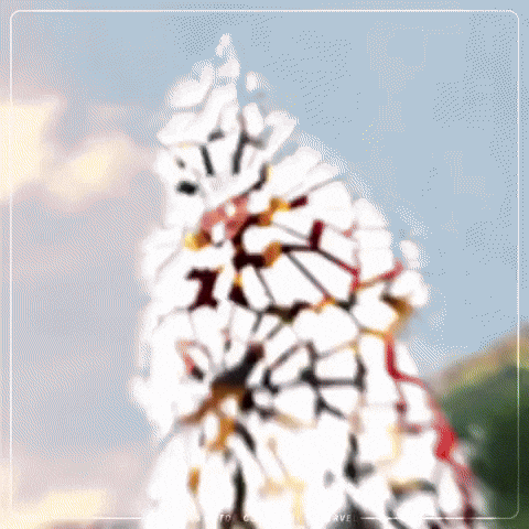 Harry Potter Germiona GIF