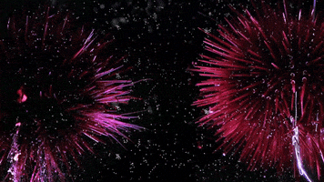 200.gif?cid=fc005b08fd43df53dde28197bcd73b229908dd09c841833b&rid=200.gif&ct=g