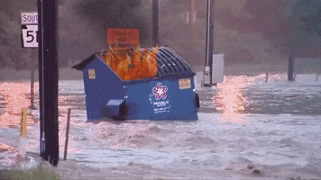 Dumpster Fire GIFs - Get the best GIF on GIPHY