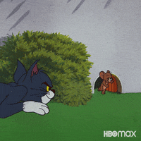 Tom And Jerry Love GIF by Max