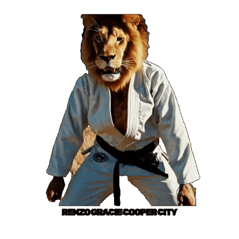 Black Belt Bjj Sticker by Renzo Gracie Jiu Jitsu of Cooper City