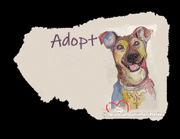 Adopt Animal Rescue GIF by Heartland Animal Shelter