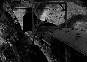 fred c newmeyer train GIF by Maudit