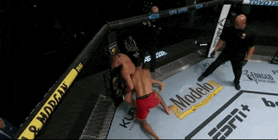 Episode 9 Mma GIF by UFC