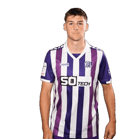 Tor Sieg Sticker by VfLOsnabrueck