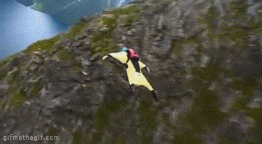 giphy.gif giphy.gif
