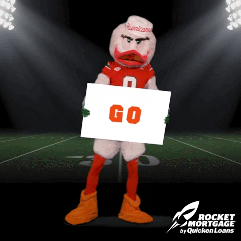 Image result for Go Canes gif