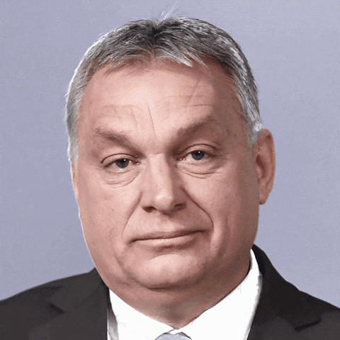 Politics GIF