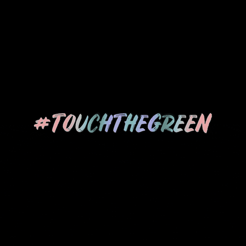 PineBeachBelek GIF