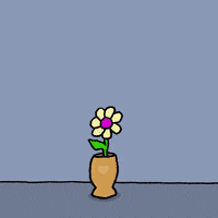 I Love You Dogs GIF by Chippy the Dog