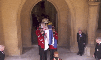 Coffin GIF by GIPHY News