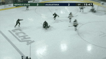 Hockey GIF